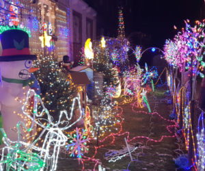 Odlotowy ogród na Bielanach. Niesamowite iluminacje!  