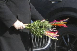 Jarosław Kaczyński szykuj się do świąt. Prezes PiS z kolorową palmą