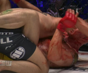 KSW 69: Krwawa rzeźnia w klatce