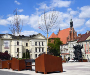 Nowa zieleń na Starym Rynku w Bydgoszczy
