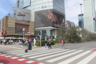 Kot na ekranie reklamowym LED Warsaw STAGE na wieżowcu Skylight