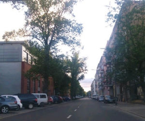 Ulica Niedziałkowskiego