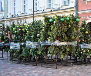 Trwa montaż choinki i świątecznych iluminacji