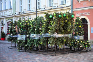 Trwa montaż choinki i świątecznych iluminacji