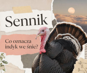 Sennik indyk: znaczenie snu i najczęstsze interpretacje