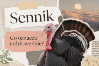 Sennik indyk: znaczenie snu i najczęstsze interpretacje