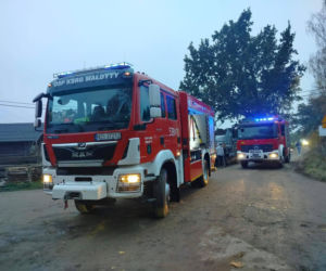Cztery urocze szczeniaki uratowane z pogorzeliska. Nieprawdopodobne, gdzie ukryły się podczas pożaru