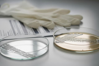 Lubelscy okuliści zmieniają leczenie. Jakie rewolucyjne rekomendacje wprowadzają?