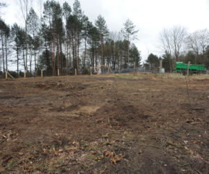 Karnieszewice: Skarb w lesie