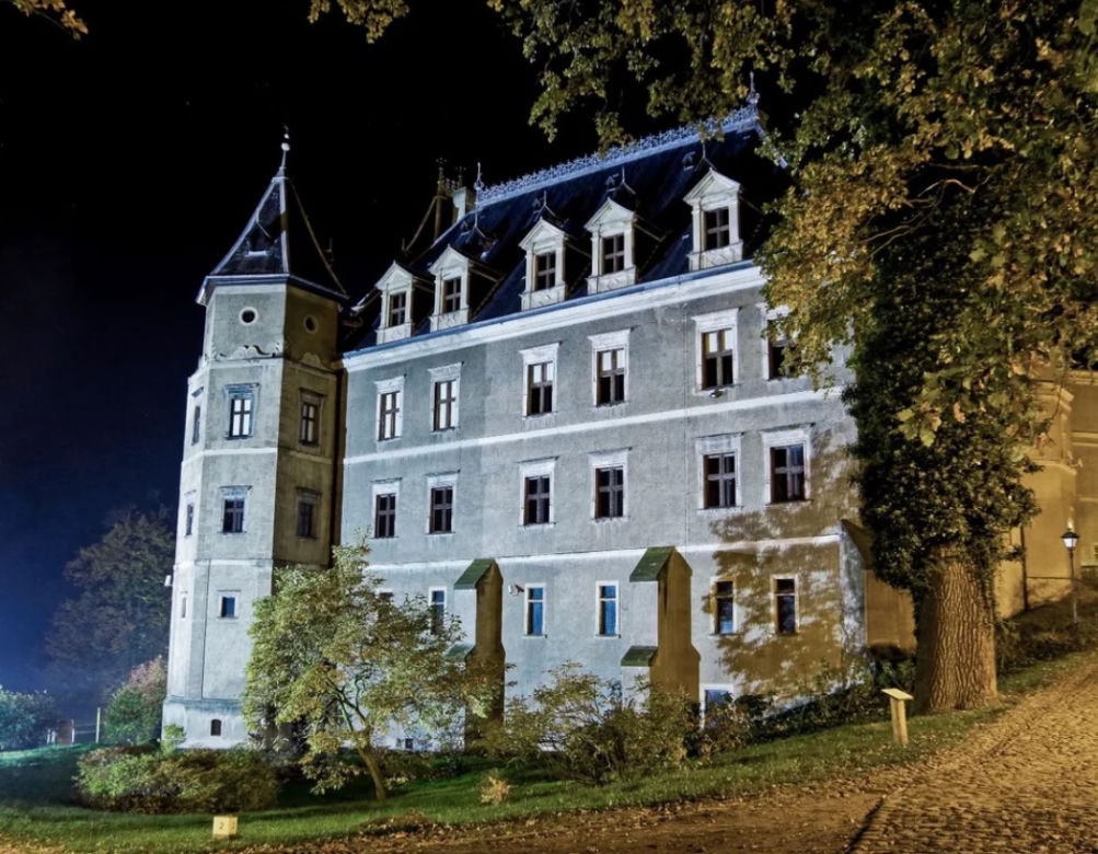 Zamek w Gołuchowie