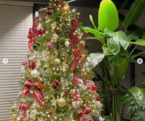 Pierniczki u Anny Lewandowskiej