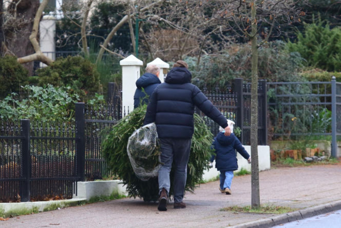 Donald Tusk z zięciem dźwigają gigantyczną choinkę. A za nimi drepcze Kasia z drugą. Wnusie premiera jak księżniczki