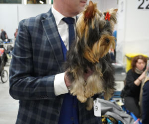 Międzynarodowa Wystawa Psów Rasowych Duo Cacib Kielce 2025