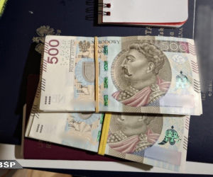 Akcja służb wymierzona w potężny gang