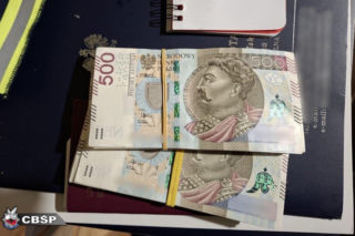 Akcja służb wymierzona w potężny gang