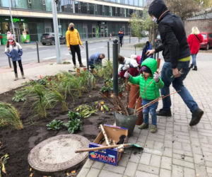 Nowy, zielony skwerek na Szyperskiej