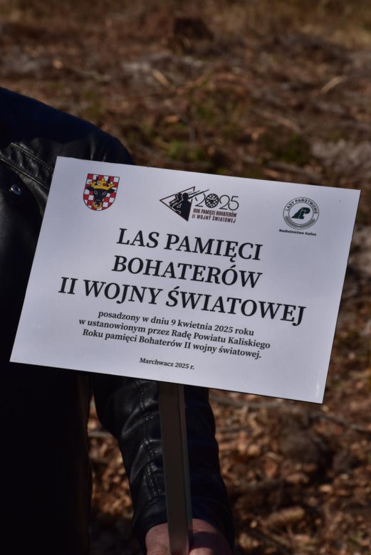 Las Pamięci w Marchwaczu