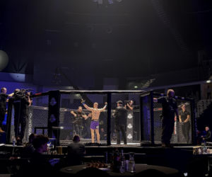 King's Arena2. Klatka i Lwy