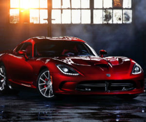 NOWY Viper 2013
