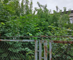 Dziesięć najbardziej wstydliwych miejsc Tarnowa. Niektóre straszą od wielu lat [CAŁA GALERIA]