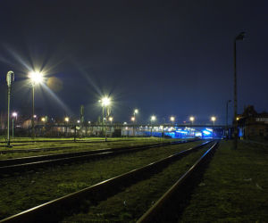 Zdjęcie 5901