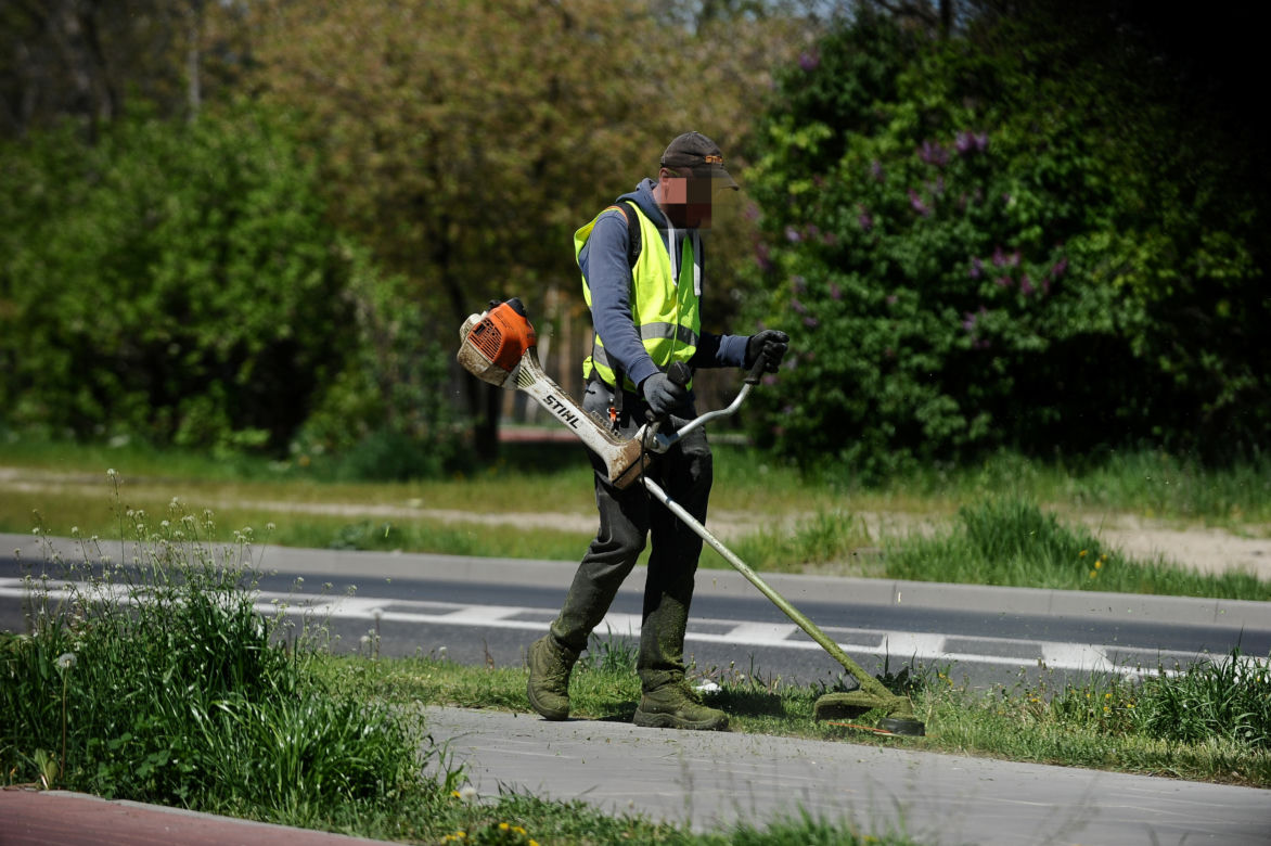 Warszawa wraca do koszenia trawników. Wielka akcja w Warszawie