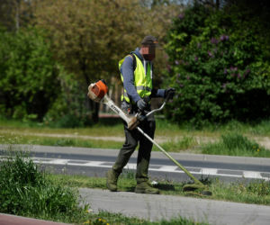 Warszawa wraca do koszenia trawników. Wielka akcja w Warszawie
