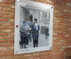 Biedronka w kinie Femina - 2026r.