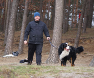 Zimna kąpiel morsów w podbydgoskich Pieckach [ZDJĘCIA]