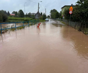 Zalane Nowe Miasto Lubawskie