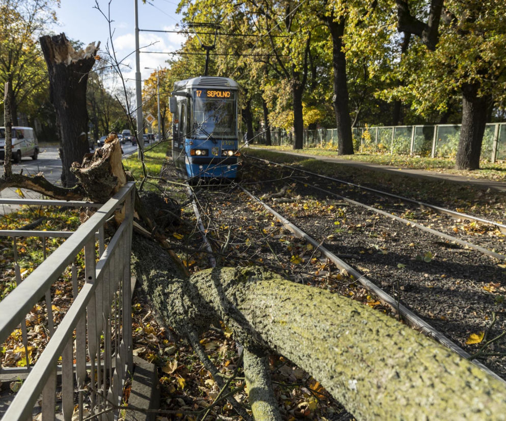Wichura Wrocław tramwaj