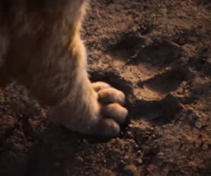 Król Lew - oryginał a nowa wersja filmu