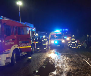 Autobus z dziećmi uderzył w drzewo! Są ranni. Dramat w Trzebiechowie [GALERIA]
