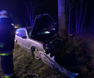 Wypadek w pobydgoskim Żołędowie. Osobówka uderzyła w drzewo! [ZDJĘCIA]