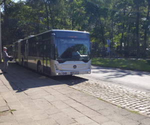 Pierwszy kurs autobusu przegubowego w Grudziądzu