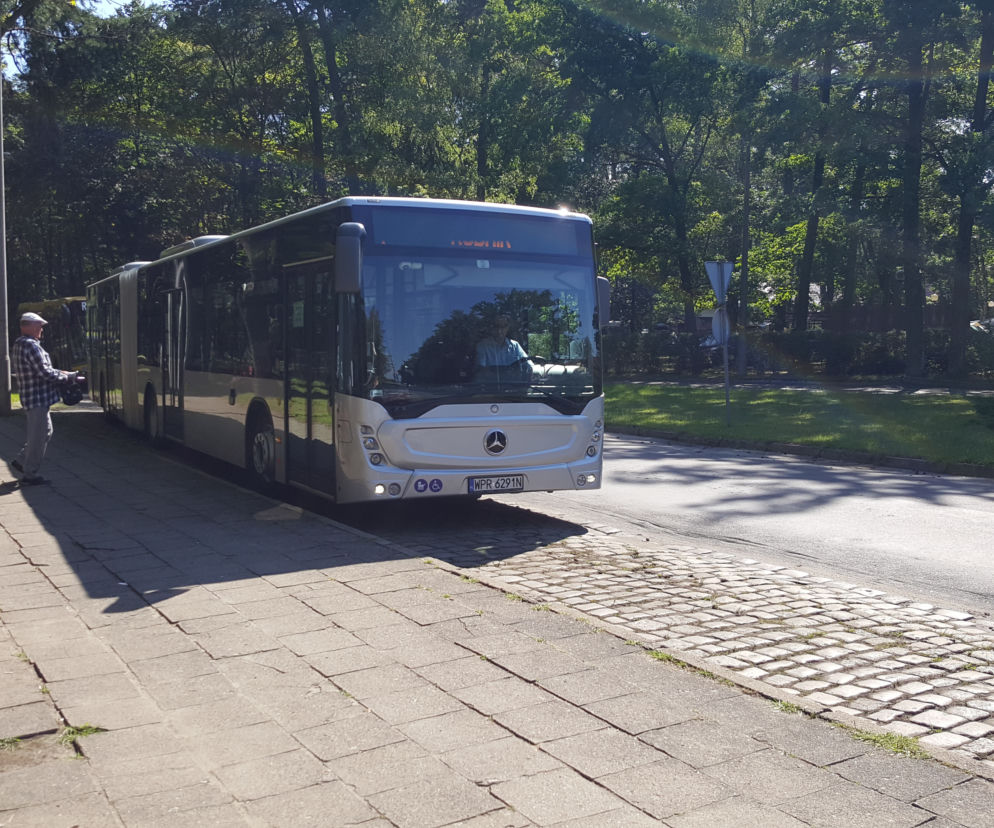 Pierwszy kurs autobusu przegubowego w Grudziądzu