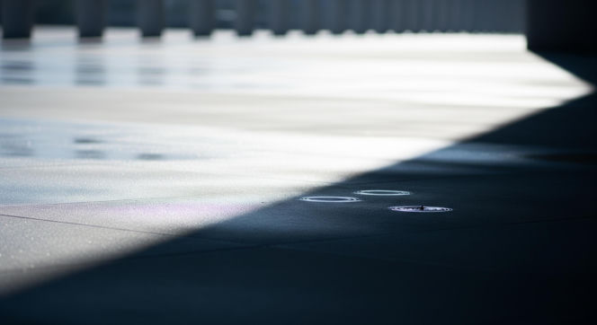 Zabójstwo studentki. Robert Janczewski żąda milionów od państwa, ale kto zabił?