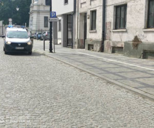 Płock. Twój ul jest lepszy niż mój. Rój pszczół zaatakował budynek na Starym Mieście