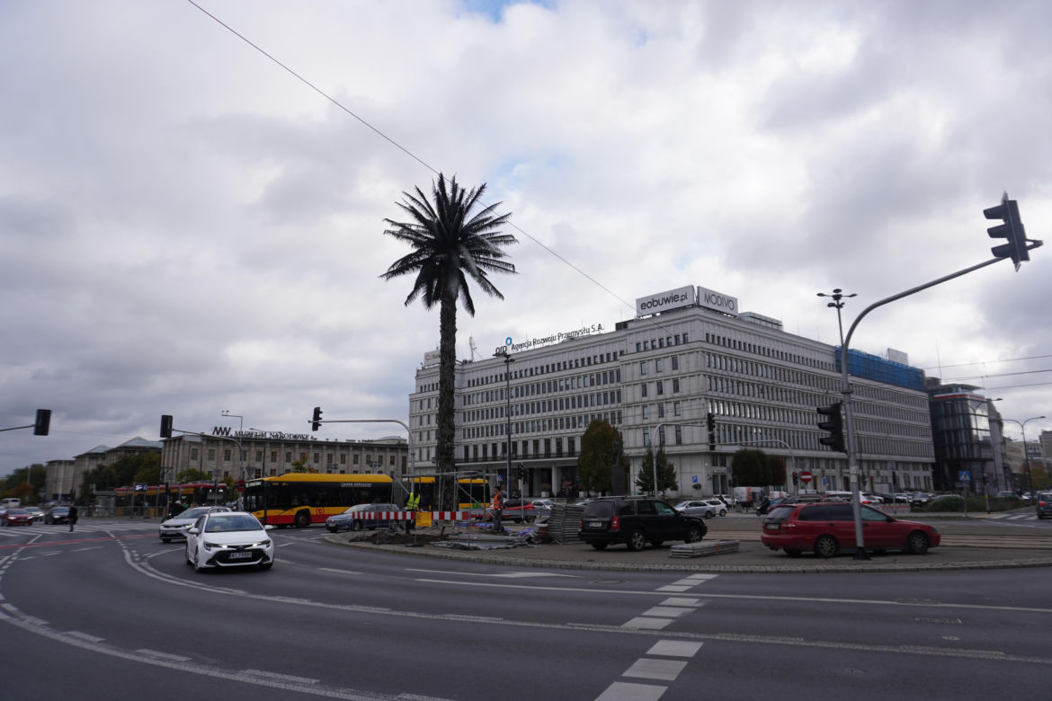 Zaczął się remont warszawskiej palmy. Atrakcja turystyczna została otoczona ogrodzeniem