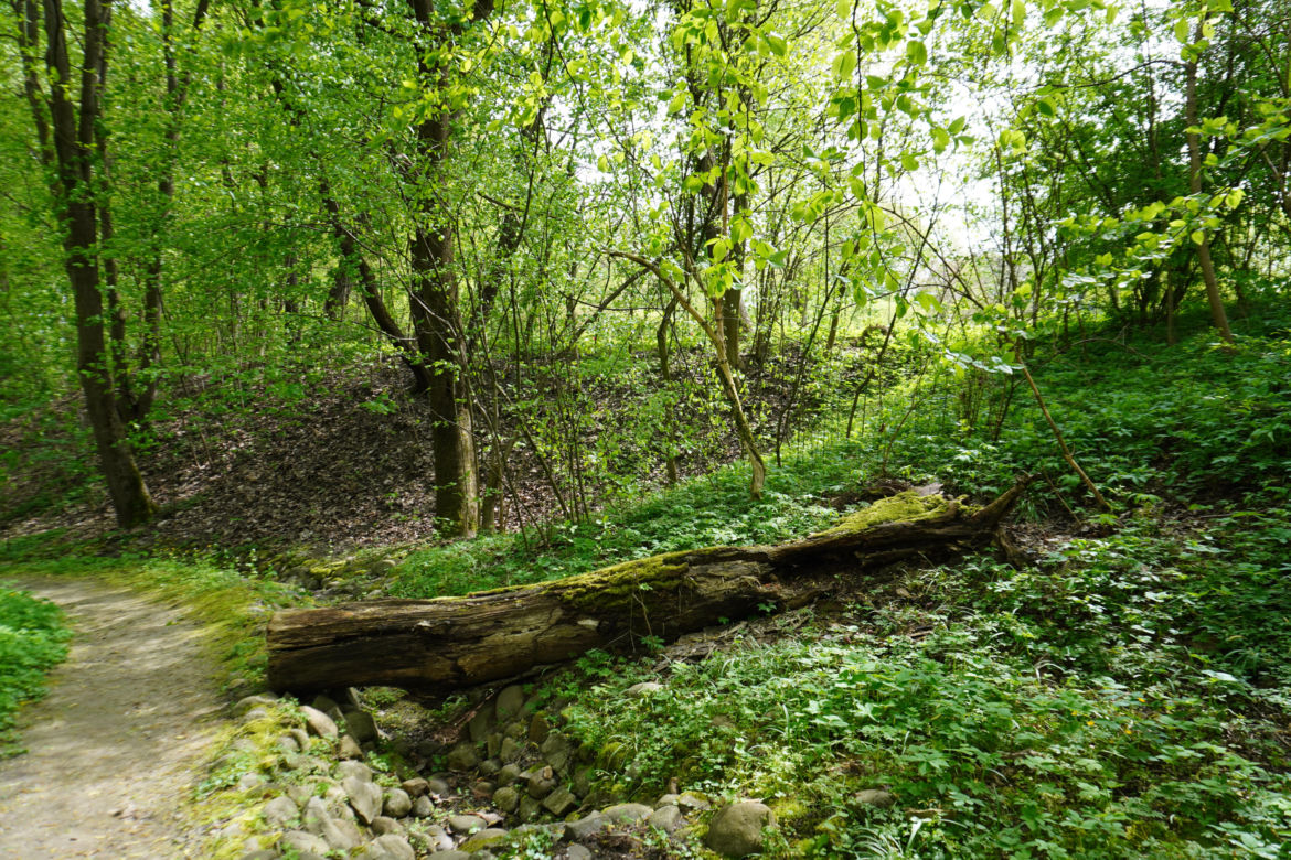 Ogród Botaniczny w Lublinie