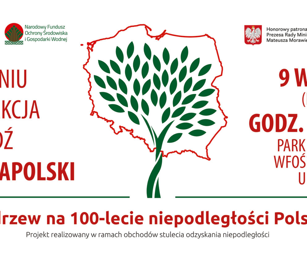 100 tysięcy drzew na stulecie odzyskania niepodległości Polski