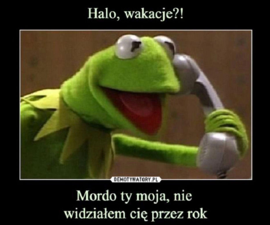 Zakończenie roku szkolnego - memy