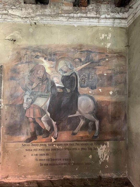 Zamek w Niemodlinie - zdjęcia. Zobacz zamek, który odwiedza stado danieli