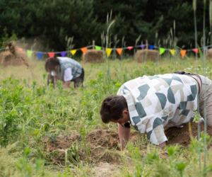 Walka o szopę rozgrzeje farmę do czerwoności! Nikt nie chce tam spać