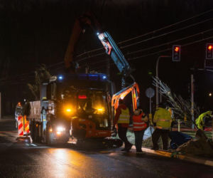 Znowu posadzili niemieckie drzewa w Warszawie. ZDM chwali się: „to zieleniarska NASA”