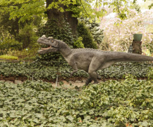 Dinozaury opanowały wrocławski ogród botaniczny
