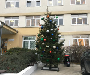 Napisz życzenia i powieś je na choince! Świąteczna akcja urzędników z Żoliborza [GALERIA]