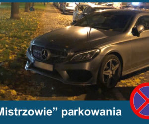 Warszawscy mistrzowie parkowania w listopadzie 2020