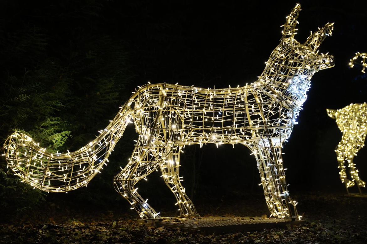 Park iluminacji 2023 w Lublinie