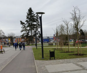 PGE Toruń wspiera zieleń i zagrożone gatunki zwierząt!
